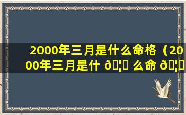2000年三月是什么命格（2000年三月是什 🦋 么命 🦈 格的人）